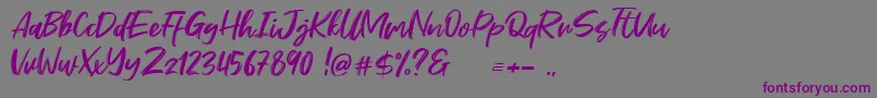 Шрифт Stefont – фиолетовые шрифты на сером фоне