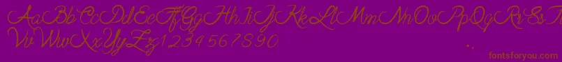 stela Font – Brown Fonts on Purple Background