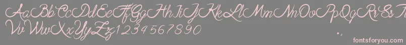 stela Font – Pink Fonts on Gray Background