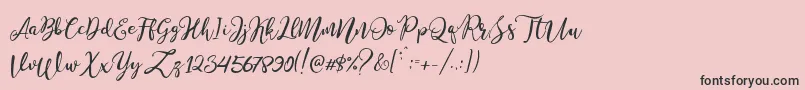 Stella Wilson Font – Black Fonts on Pink Background