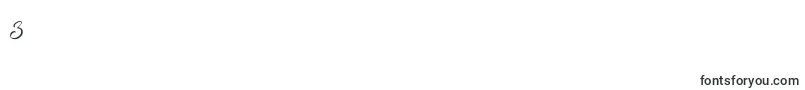 Stella Wilson Font – Fonts for Digit 3
