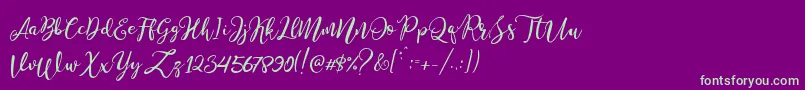 Stella Wilson Font – Green Fonts on Purple Background