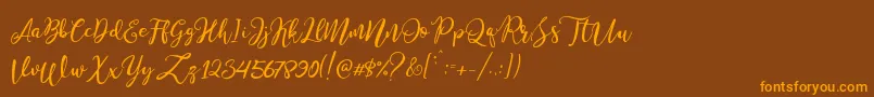 Stella Wilson Font – Orange Fonts on Brown Background
