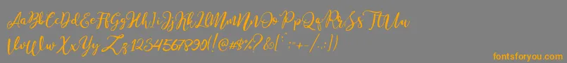 フォントStella Wilson – オレンジの文字は灰色の背景にあります。
