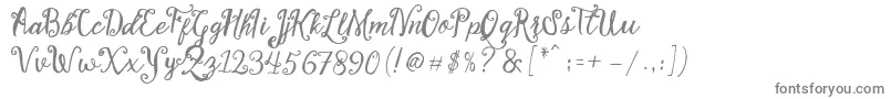 Czcionka Stellanova Script Free Demo – szare czcionki