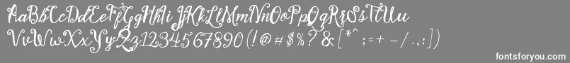 Stellanova Script Free Demo Font – White Fonts on Gray Background