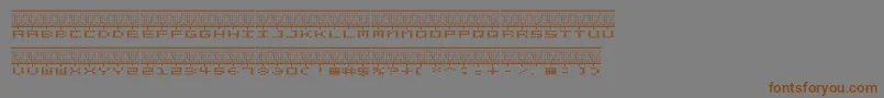 フォントSTEREOLA – 茶色の文字が灰色の背景にあります。