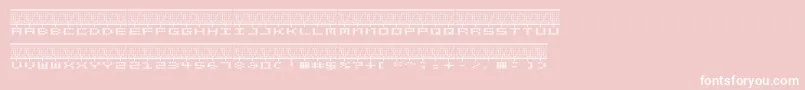 STEREOLA-Schriftart – Weiße Schriften auf rosa Hintergrund