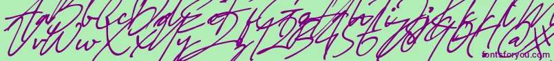 Police Sterling heights Font – polices violettes sur fond vert