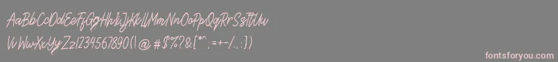 Steven Area Font – Pink Fonts on Gray Background