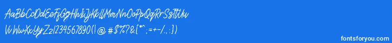 Steven Area Font – White Fonts on Blue Background