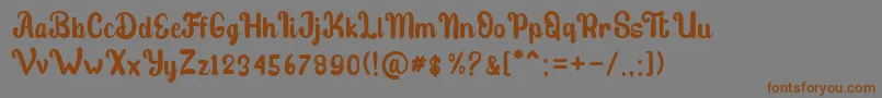 stibold Font – Brown Fonts on Gray Background