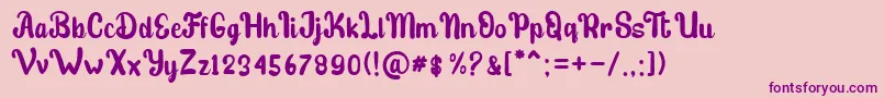 stibold Font – Purple Fonts on Pink Background