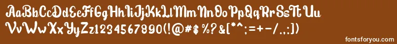 stibold Font – White Fonts on Brown Background