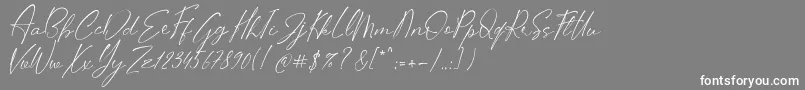 フォントStifora – 灰色の背景に白い文字