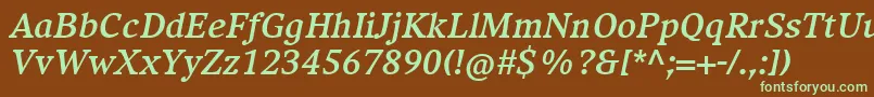 CompatilExquisitLtComBoldItalic Font – Green Fonts on Brown Background