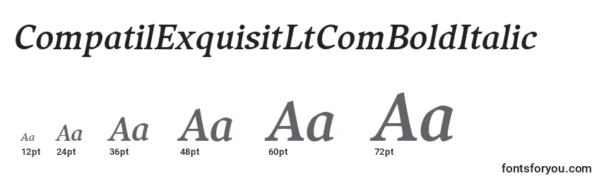 Größen der Schriftart CompatilExquisitLtComBoldItalic