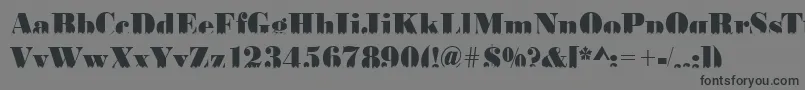 BodoniskylineRegular Font – Black Fonts on Gray Background