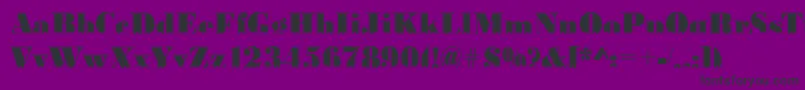 BodoniskylineRegular Font – Black Fonts on Purple Background