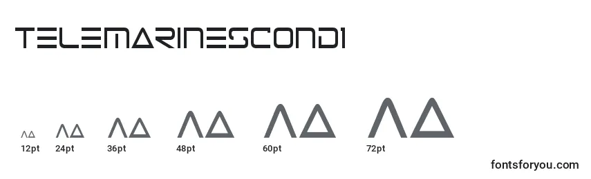 Размеры шрифта Telemarinescond1