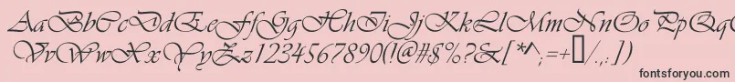 Vivaldic Font – Black Fonts on Pink Background