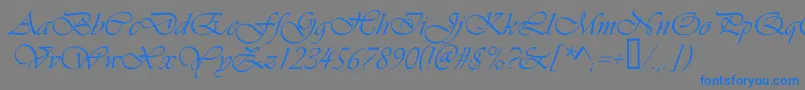 フォントVivaldic – 灰色の背景に青い文字