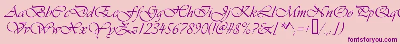 Vivaldic Font – Purple Fonts on Pink Background