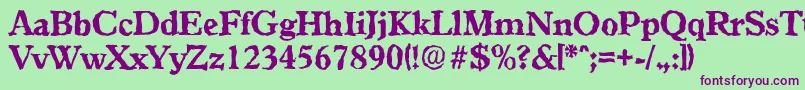 GranadarandomXboldRegular Font – Purple Fonts on Green Background