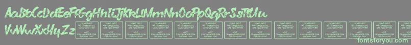 VarysharkyRegular Font – Green Fonts on Gray Background