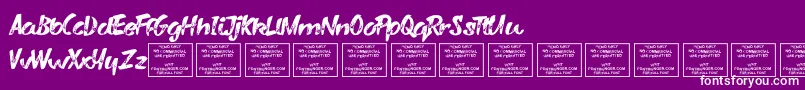 VarysharkyRegular Font – White Fonts on Purple Background