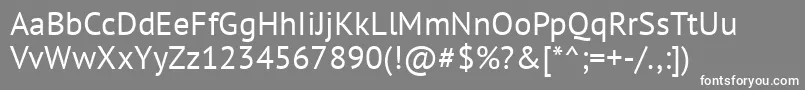 PtSans Font – White Fonts on Gray Background
