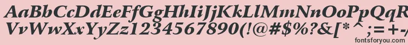 BitstreamArrusBlackItalicBt Font – Black Fonts on Pink Background