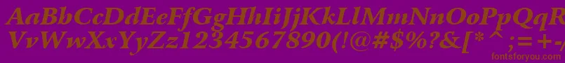 BitstreamArrusBlackItalicBt Font – Brown Fonts on Purple Background