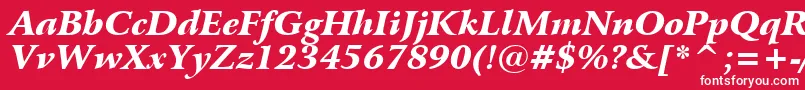 BitstreamArrusBlackItalicBt Font – White Fonts on Red Background