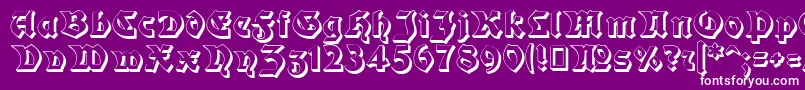 Moderne3DSchwabacher Font – White Fonts on Purple Background