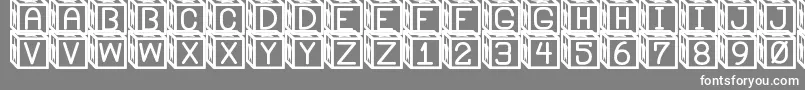 Weitere Informationen zur BlockysSt-Schriftart BlockysSt-Schriftart – Weiße Schriften auf grauem Hintergrund