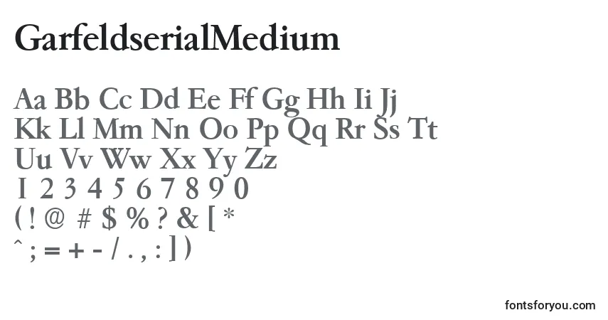 Шрифт GarfeldserialMedium – алфавит, цифры, специальные символы