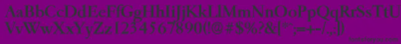 GarfeldserialMedium Font – Black Fonts on Purple Background