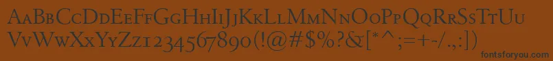 BirkaSmallcaps Font – Black Fonts on Brown Background