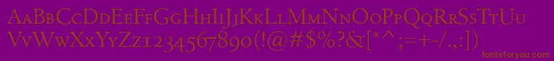 BirkaSmallcaps Font – Brown Fonts on Purple Background