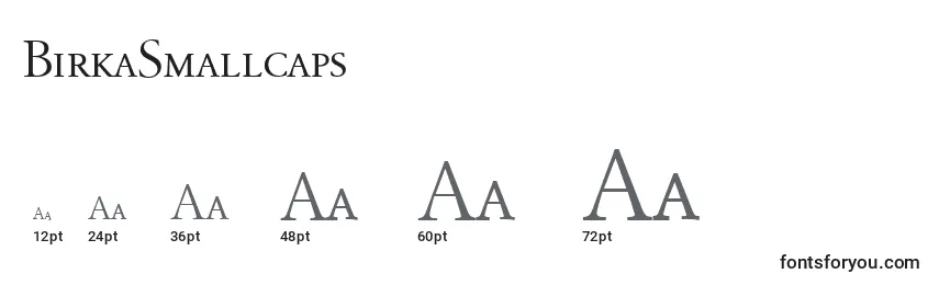 Размеры шрифта BirkaSmallcaps