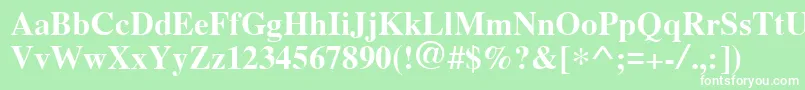 Cyrillictimesbold Font – White Fonts on Green Background