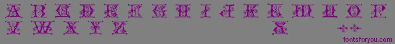 フォントGender – 紫色のフォント、灰色の背景