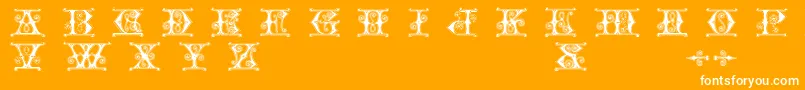 Gender Font – White Fonts on Orange Background