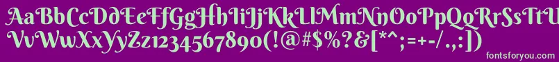 BerkshireswashRegular Font – Green Fonts on Purple Background