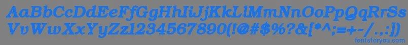 Шрифт ErBukinist866BoldItalic – синие шрифты на сером фоне