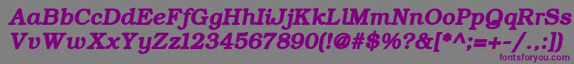 ErBukinist866BoldItalic Font – Purple Fonts on Gray Background