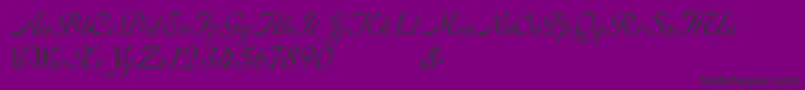 RoundhandFree-fontti – mustat fontit violetilla taustalla