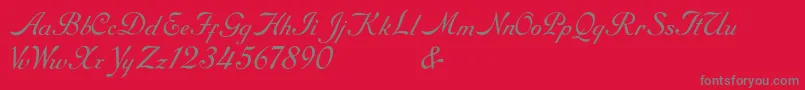 RoundhandFree-Schriftart – Graue Schriften auf rotem Hintergrund