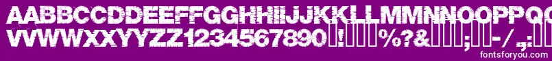 Base05 Font – White Fonts on Purple Background